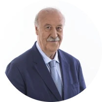 D. Vicente del Bosque González