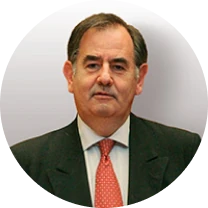 D. Álvaro Gil-Robles Gil-Delgado