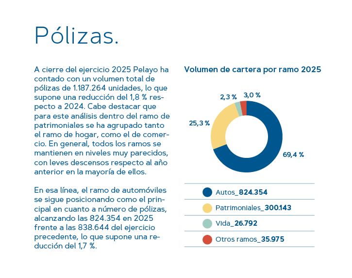 Pólizas — detalle